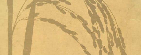 PENELITIAN PEMULIAAN PADI