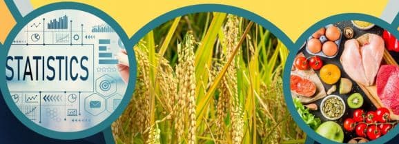 Statistik Konsumsi Pangan 2024