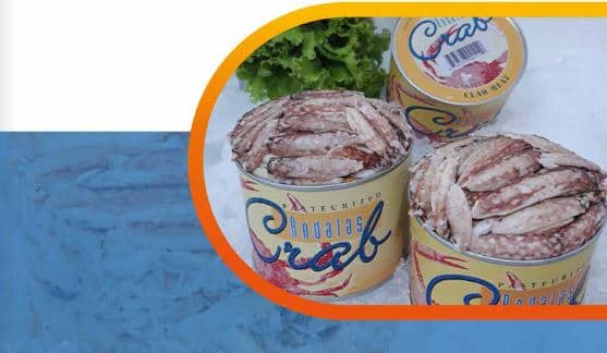 Laporan Tahunan 2019 - Prima Cakrawala Abadi Tbk