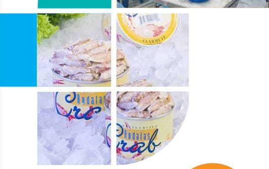 Laporan Tahunan 2020 - Prima Cakrawala Abadi Tbk