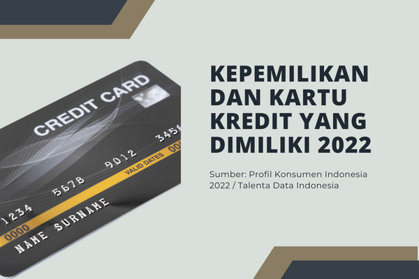 Kepemilikan dan Kartu Kredit yang Dimiliki 2022