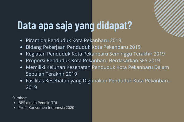 profil konsumen kota pekanbaru 2019 - konten